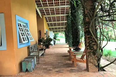 Conforto no estilo simple chic em perfeita harmonia com a natureza 