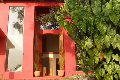 Salão de 200m² para filmagens em meio à mata