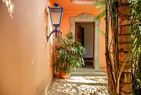 Casa com muito verde e luz natural