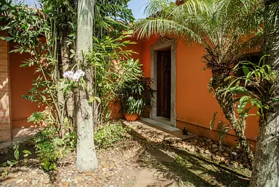 Casa com muito verde e luz natural