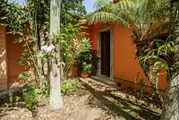 Casa com muito verde e luz natural