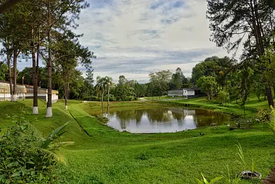 Fazenda Mandala Orgânicos