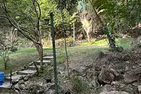 Casa Moderna Industrial Integrada à Mata Atlântica